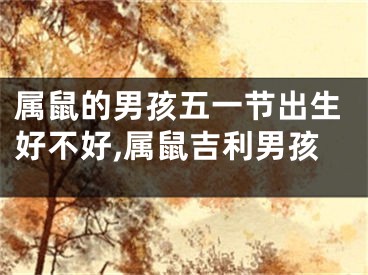 属鼠的男孩五一节出生好不好,属鼠吉利男孩