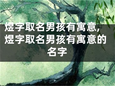 煜字取名男孩有寓意,煜字取名男孩有寓意的名字