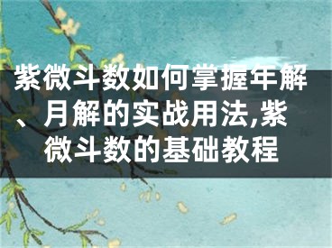 紫微斗数如何掌握年解、月解的实战用法,紫微斗数的基础教程