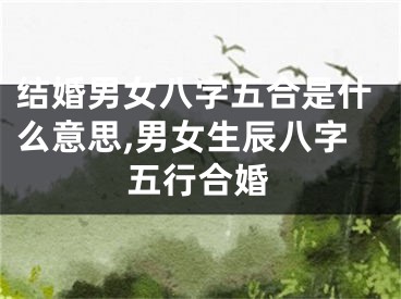 结婚男女八字五合是什么意思,男女生辰八字五行合婚