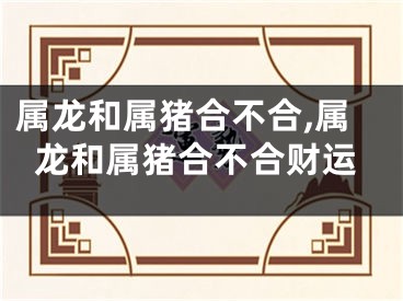 属龙和属猪合不合,属龙和属猪合不合财运