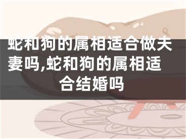 蛇和狗的属相适合做夫妻吗,蛇和狗的属相适合结婚吗