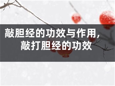 敲胆经的功效与作用,敲打胆经的功效