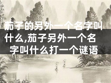 茄子的另外一个名字叫什么,茄子另外一个名字叫什么打一个谜语