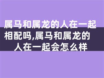 属马和属龙的人在一起相配吗,属马和属龙的人在一起会怎么样