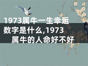 1973属牛一生幸运数字是什么,1973属牛的人命好不好