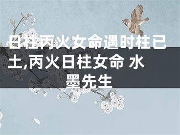 日柱丙火女命遇时柱已土,丙火日柱女命 水墨先生