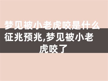 梦见被小老虎咬是什么征兆预兆,梦见被小老虎咬了