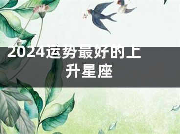 2024运势最好的上升星座