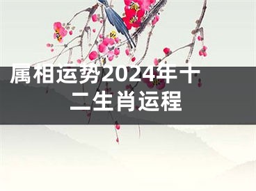 属相运势2024年十二生肖运程