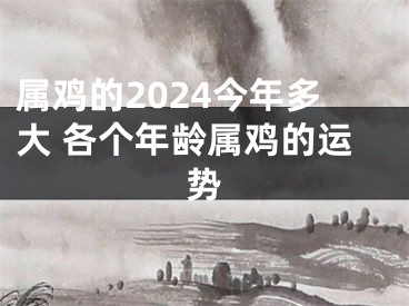 属鸡的2024今年多大 各个年龄属鸡的运势