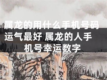 属龙的用什么手机号码运气最好 属龙的人手机号幸运数字