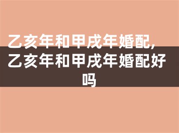 乙亥年和甲戌年婚配,乙亥年和甲戌年婚配好吗
