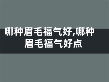 哪种眉毛福气好,哪种眉毛福气好点