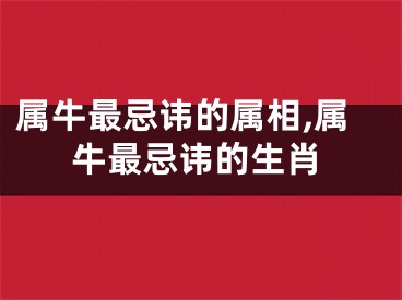 属牛最忌讳的属相,属牛最忌讳的生肖