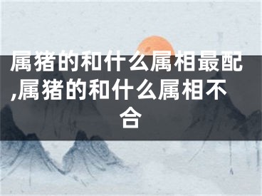 属猪的和什么属相最配,属猪的和什么属相不合