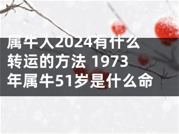 属牛人2024有什么转运的方法 1973年属牛51岁是什么命