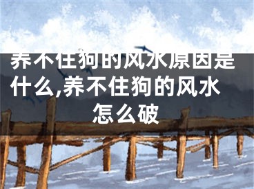 养不住狗的风水原因是什么,养不住狗的风水怎么破