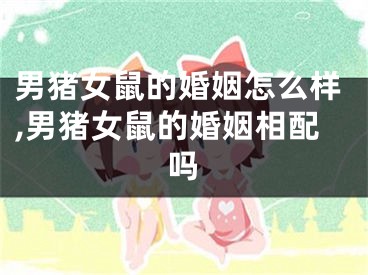 男猪女鼠的婚姻怎么样,男猪女鼠的婚姻相配吗