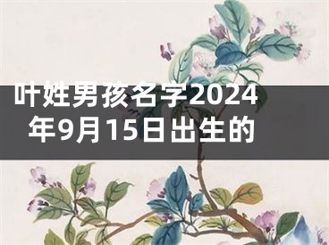 叶姓男孩名字2024年9月15日出生的