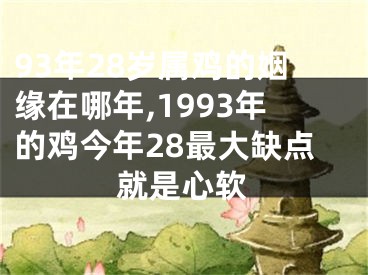 93年28岁属鸡的姻缘在哪年,1993年的鸡今年28最大缺点就是心软