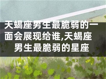 天蝎座男生最脆弱的一面会展现给谁,天蝎座男生最脆弱的星座