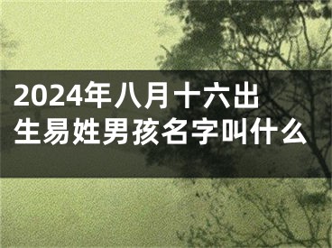 2024年八月十六出生易姓男孩名字叫什么
