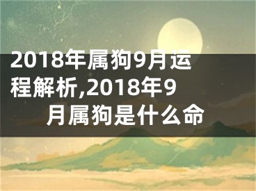 2018年属狗9月运程解析,2018年9月属狗是什么命