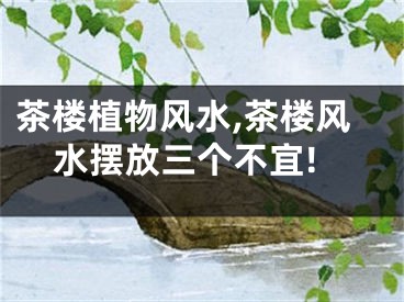 茶楼植物风水,茶楼风水摆放三个不宜!