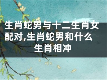 生肖蛇男与十二生肖女配对,生肖蛇男和什么生肖相冲