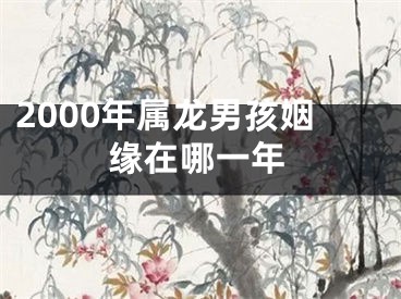 2000年属龙男孩姻缘在哪一年