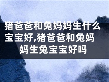 猪爸爸和兔妈妈生什么宝宝好,猪爸爸和兔妈妈生兔宝宝好吗