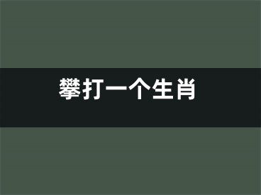 攀打一个生肖