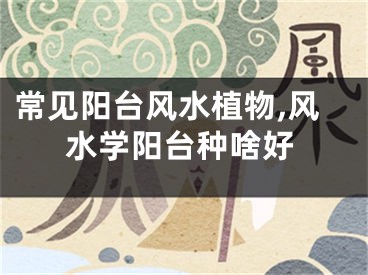 常见阳台风水植物,风水学阳台种啥好