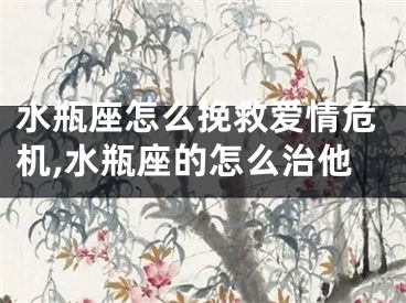 水瓶座怎么挽救爱情危机,水瓶座的怎么治他