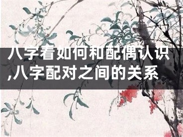八字看如何和配偶认识,八字配对之间的关系