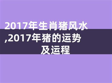 2017年生肖猪风水,2017年猪的运势及运程