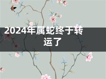 2024年属蛇终于转运了