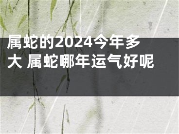 属蛇的2024今年多大 属蛇哪年运气好呢 