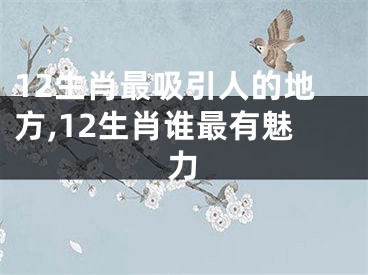 12生肖最吸引人的地方,12生肖谁最有魅力