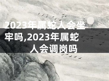 2023年属蛇人会坐牢吗,2023年属蛇人会调岗吗