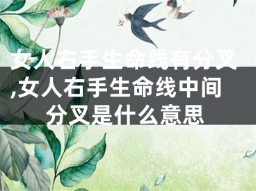 女人右手生命线有分叉,女人右手生命线中间分叉是什么意思