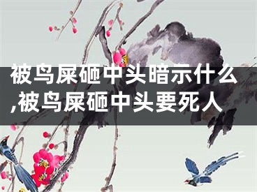 被鸟屎砸中头暗示什么,被鸟屎砸中头要死人