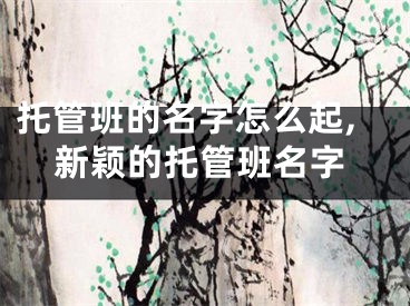 托管班的名字怎么起,新颖的托管班名字