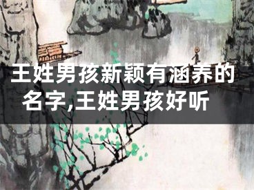王姓男孩新颖有涵养的名字,王姓男孩好听