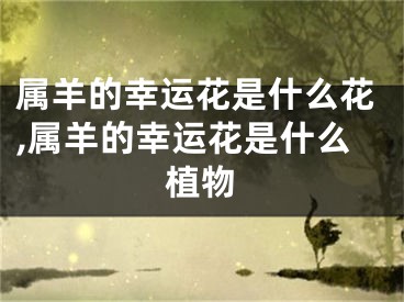 属羊的幸运花是什么花,属羊的幸运花是什么植物
