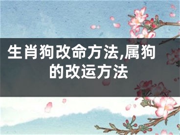 生肖狗改命方法,属狗的改运方法