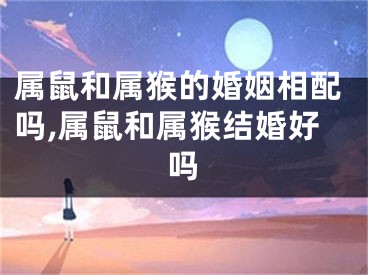 属鼠和属猴的婚姻相配吗,属鼠和属猴结婚好吗