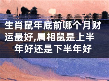 生肖鼠年底前哪个月财运最好,属相鼠是上半年好还是下半年好