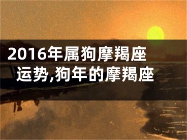 2016年属狗摩羯座运势,狗年的摩羯座